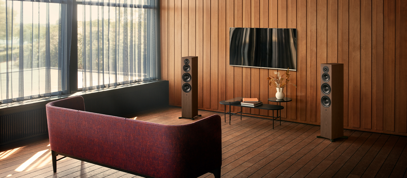 Focus 50 - TONEAudio